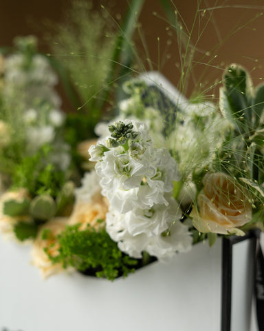 Meadows of White Flower Box